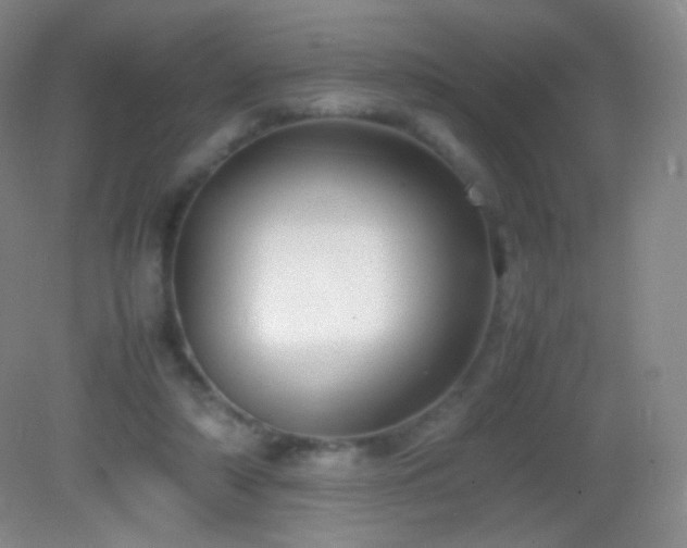 X0000082990306200702011436