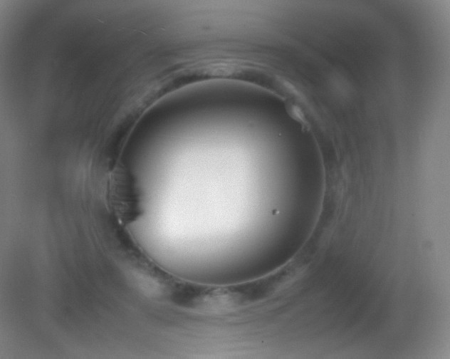 X0000082990307200702011436