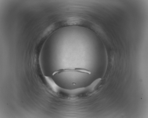 X0000082990308200702011436