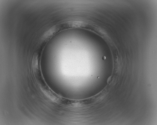 X0000082990310200702011436