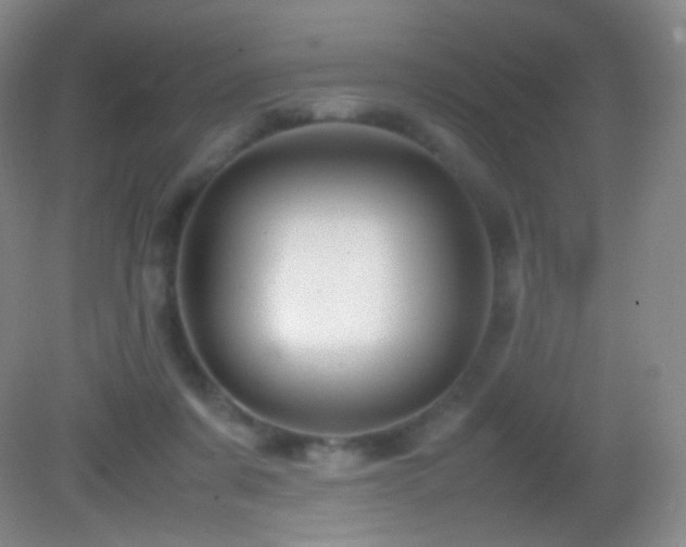 X0000082990311200702011436