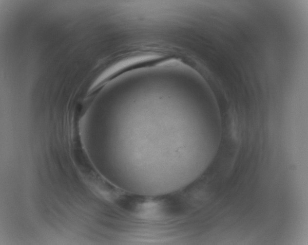 X0000082990312200702011436