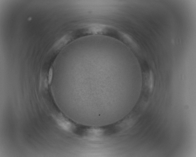 X0000082990313200702011436