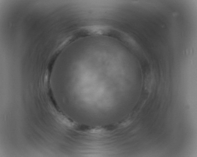 X0000082990314200702011436