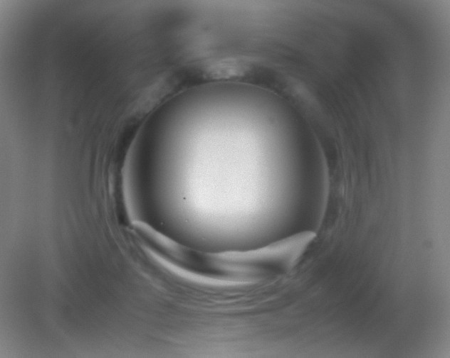 X0000082990315200702011436