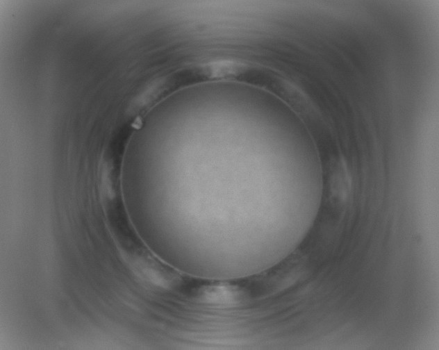 X0000082990316200702011436