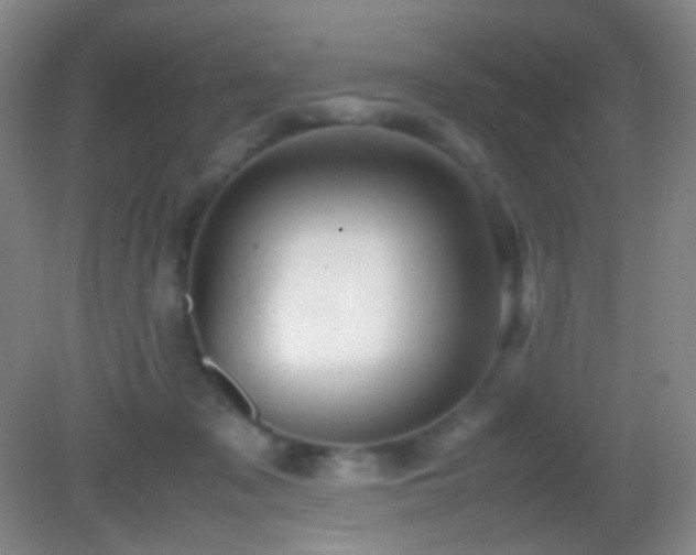 X0000082990317200702011436