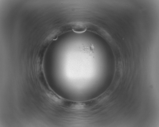 X0000082990318200702011436