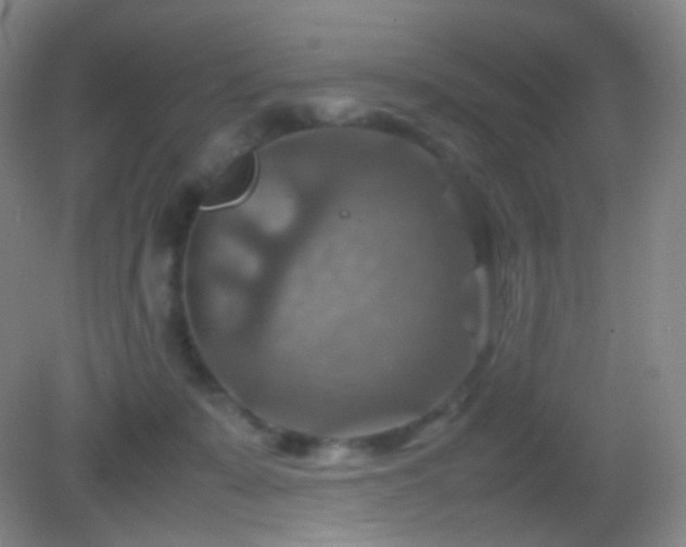 X0000082990319200702011436