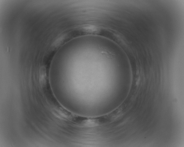 X0000082990320200702011435