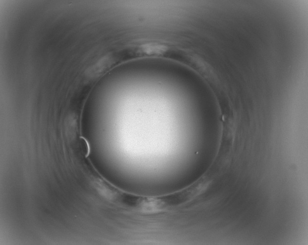 X0000082990321200702011435