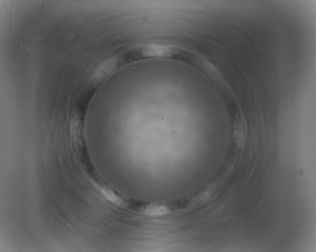 X0000082990322200702011435