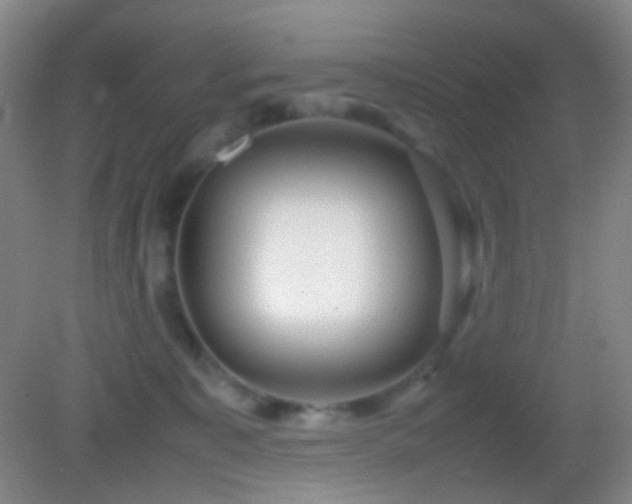 X0000082990323200702011435