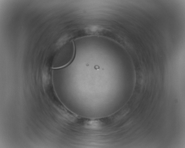 X0000082990324200702011435