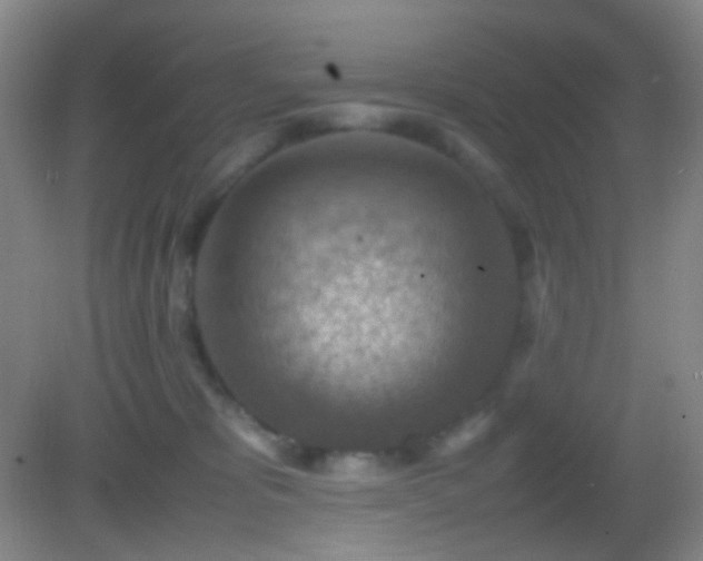 X0000082990325200702011435