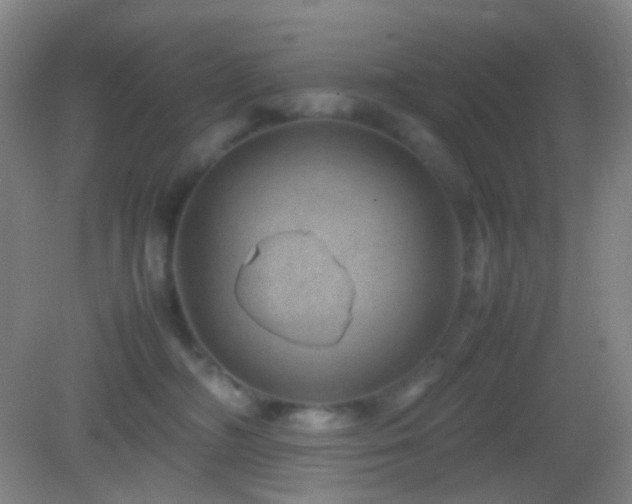 X0000082990326200702011435