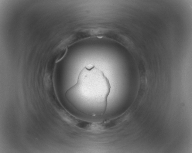 X0000082990327200702011435