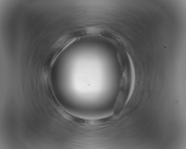 X0000082990329200702011435