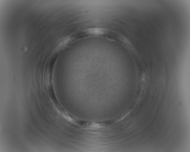 X0000082990330200702011435