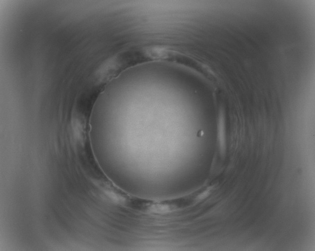 X0000082990332200702011435