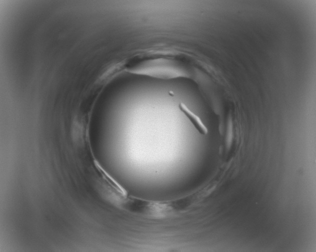 X0000082990333200702011435