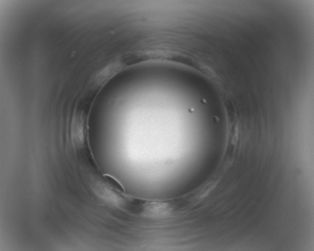 X0000082990334200702011435