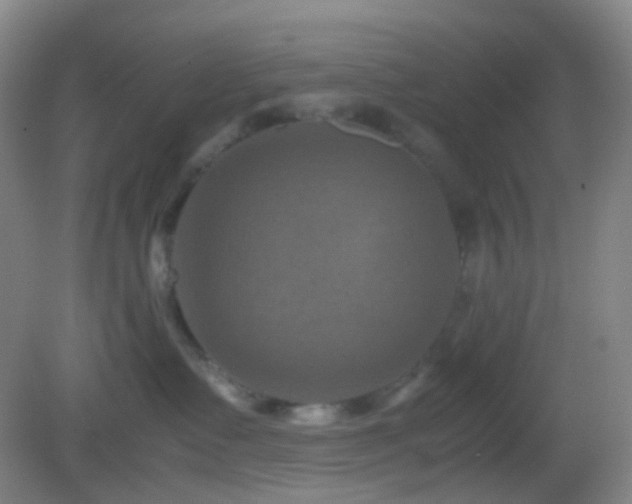 X0000082990335200702011435