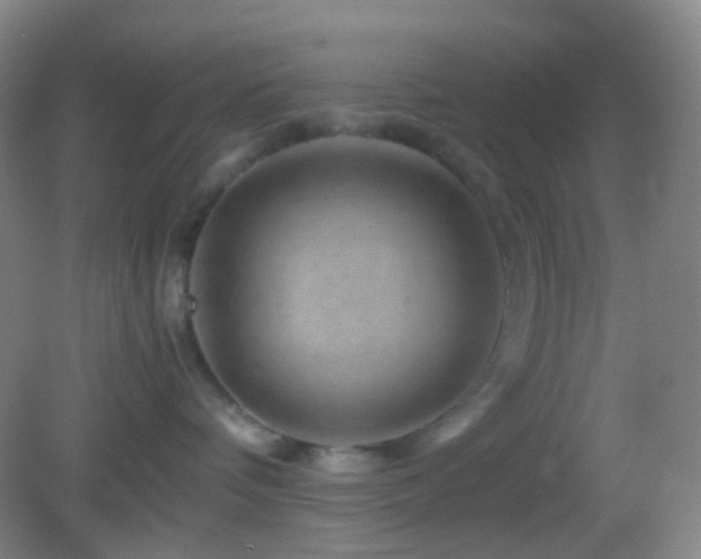 X0000082990336200702011435