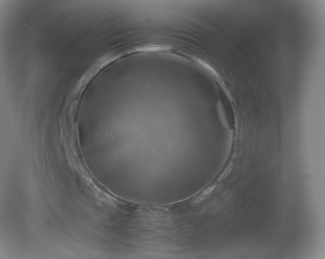 X0000082990337200702011434