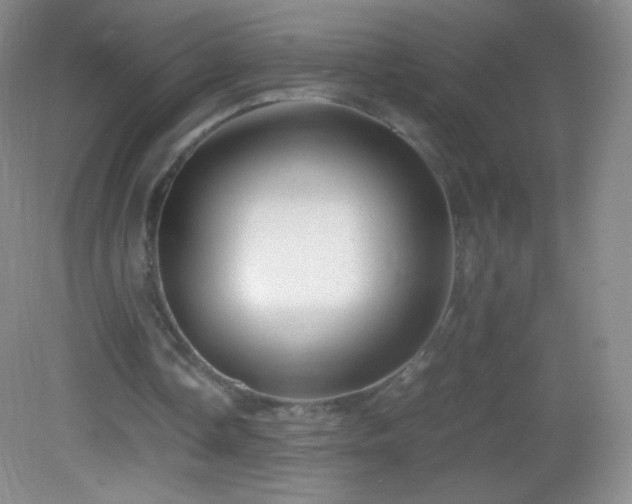 X0000082990338200702011434