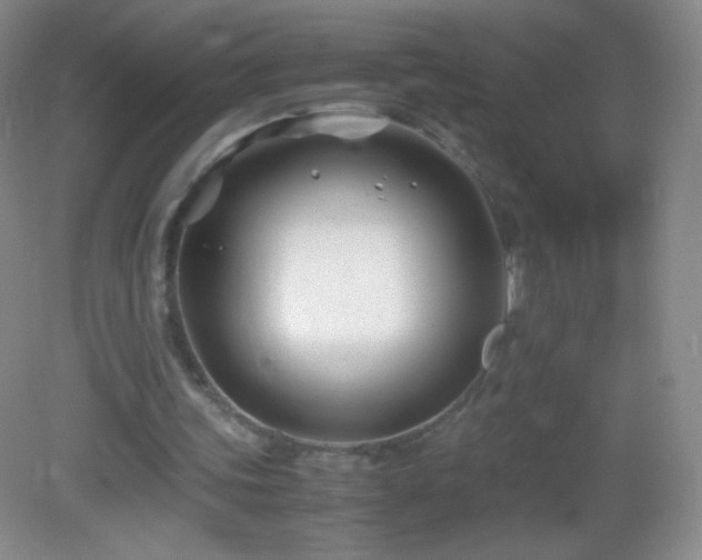 X0000082990339200702011434