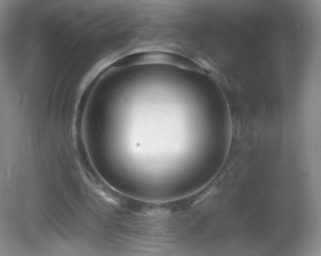 X0000082990340200702011434