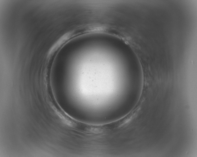 X0000082990341200702011434