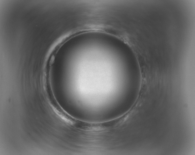 X0000082990342200702011434