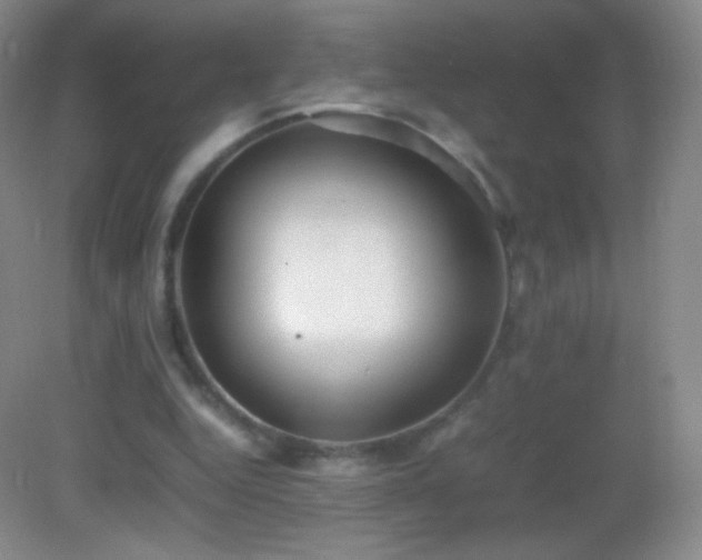 X0000082990344200702011435