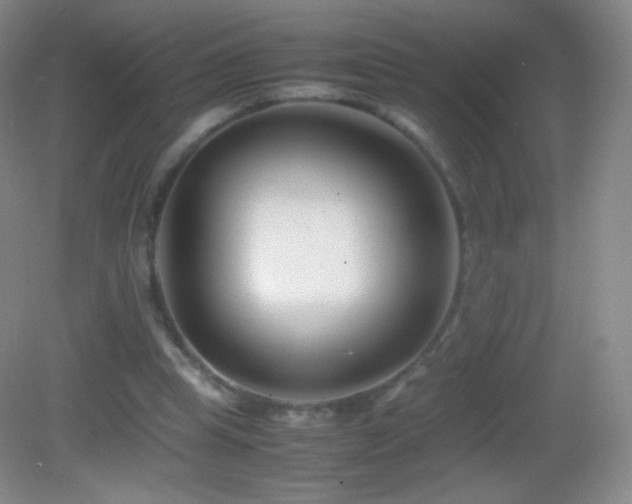 X0000082990345200702011435