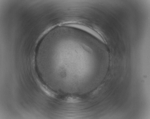 X0000082990346200702011435