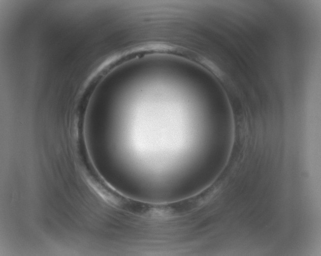 X0000082990350200702011435