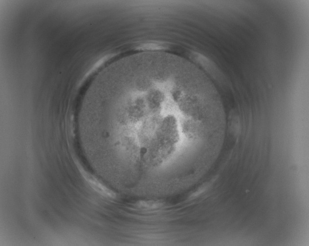 X0000082990351200702011435