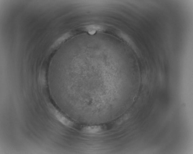 X0000082990353200702011435