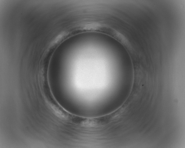 X0000082990354200702011435