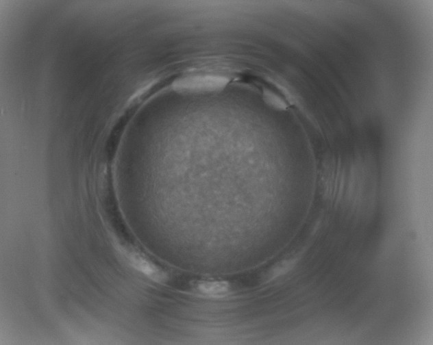 X0000082990355200702011435