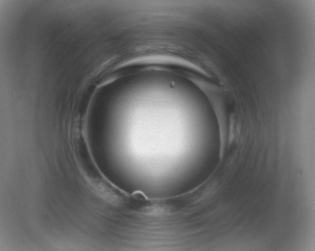 X0000082990356200702011435