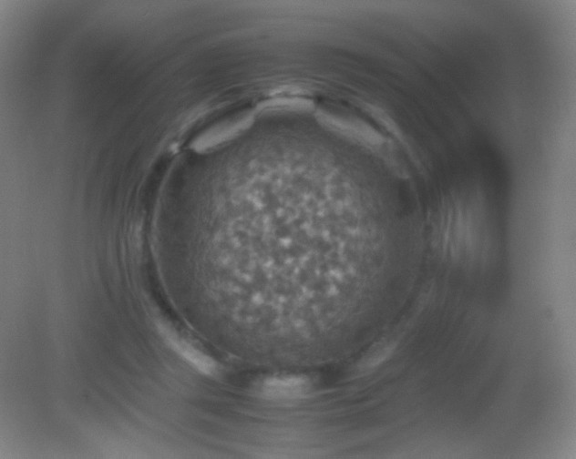 X0000082990357200702011435