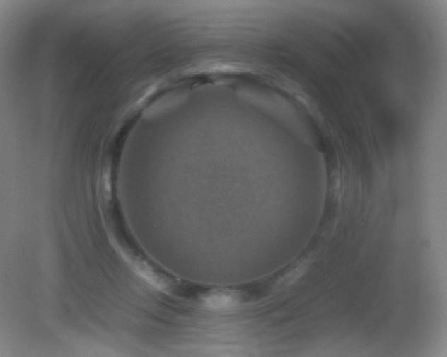 X0000082990358200702011435