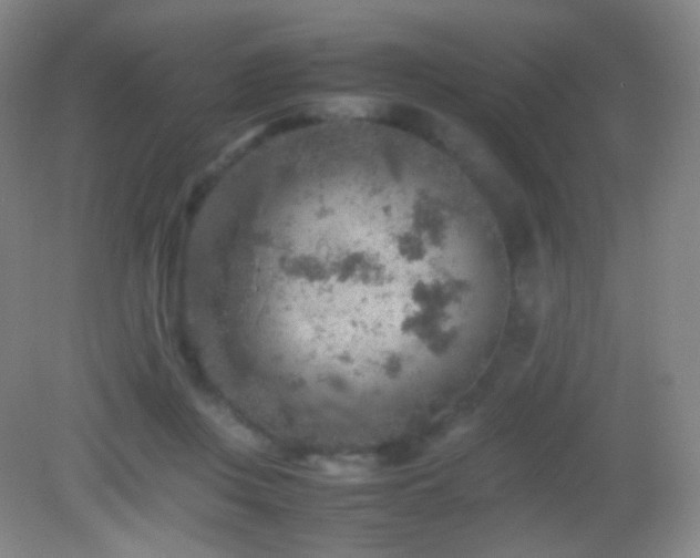 X0000082990359200702011435