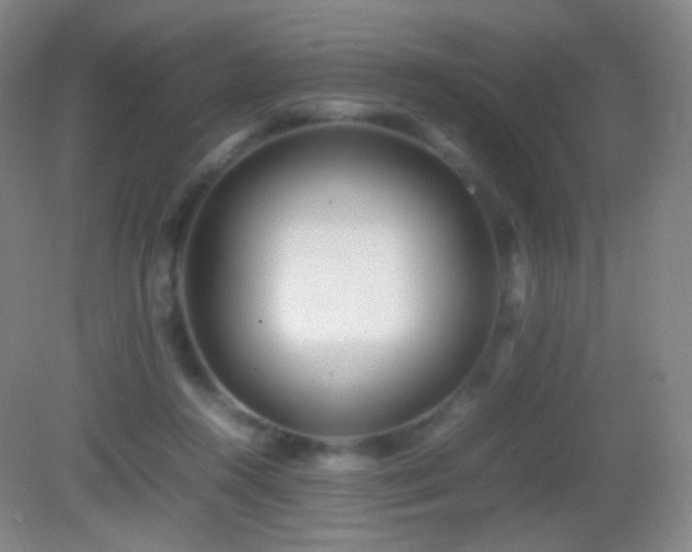 X0000082990360200702011435