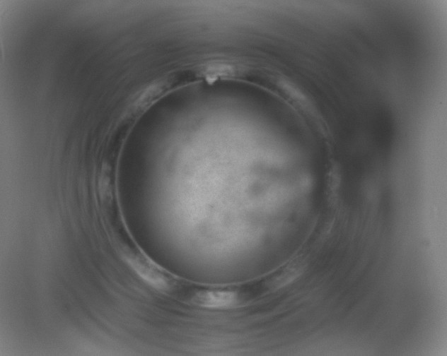 X0000082990361200702011435