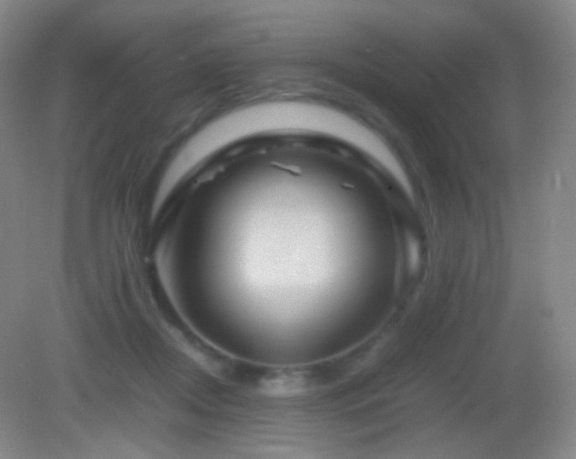 X0000082990362200702011435