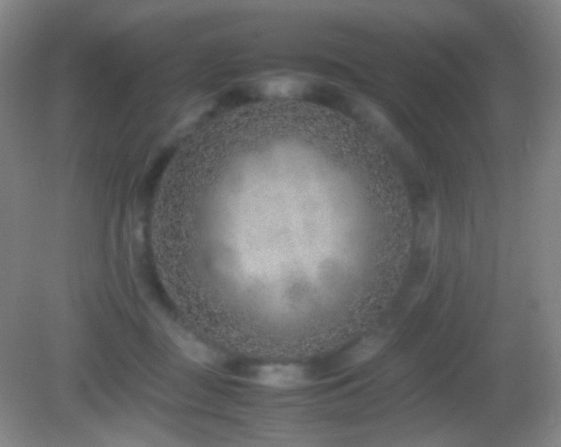 X0000082990363200702011435